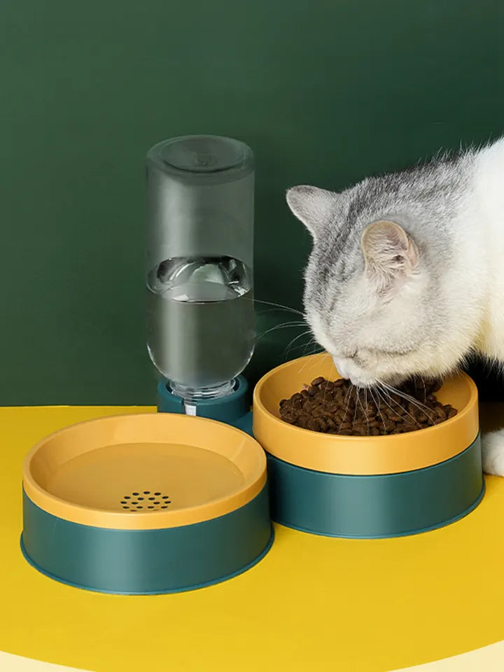 Dry-wet separate  pet cat and dog water bottle feeder automatic dog feeder