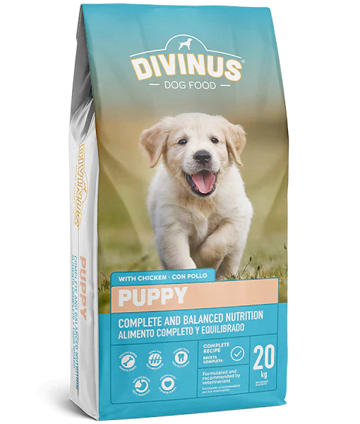 Chiot Divinus 20kg