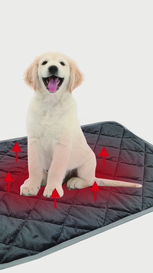 Thermal Pet pad ( without electricity)