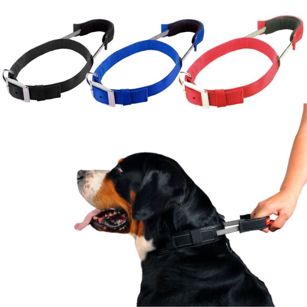 Patento collar with integrated leash