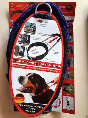 Patento collar with integrated leash