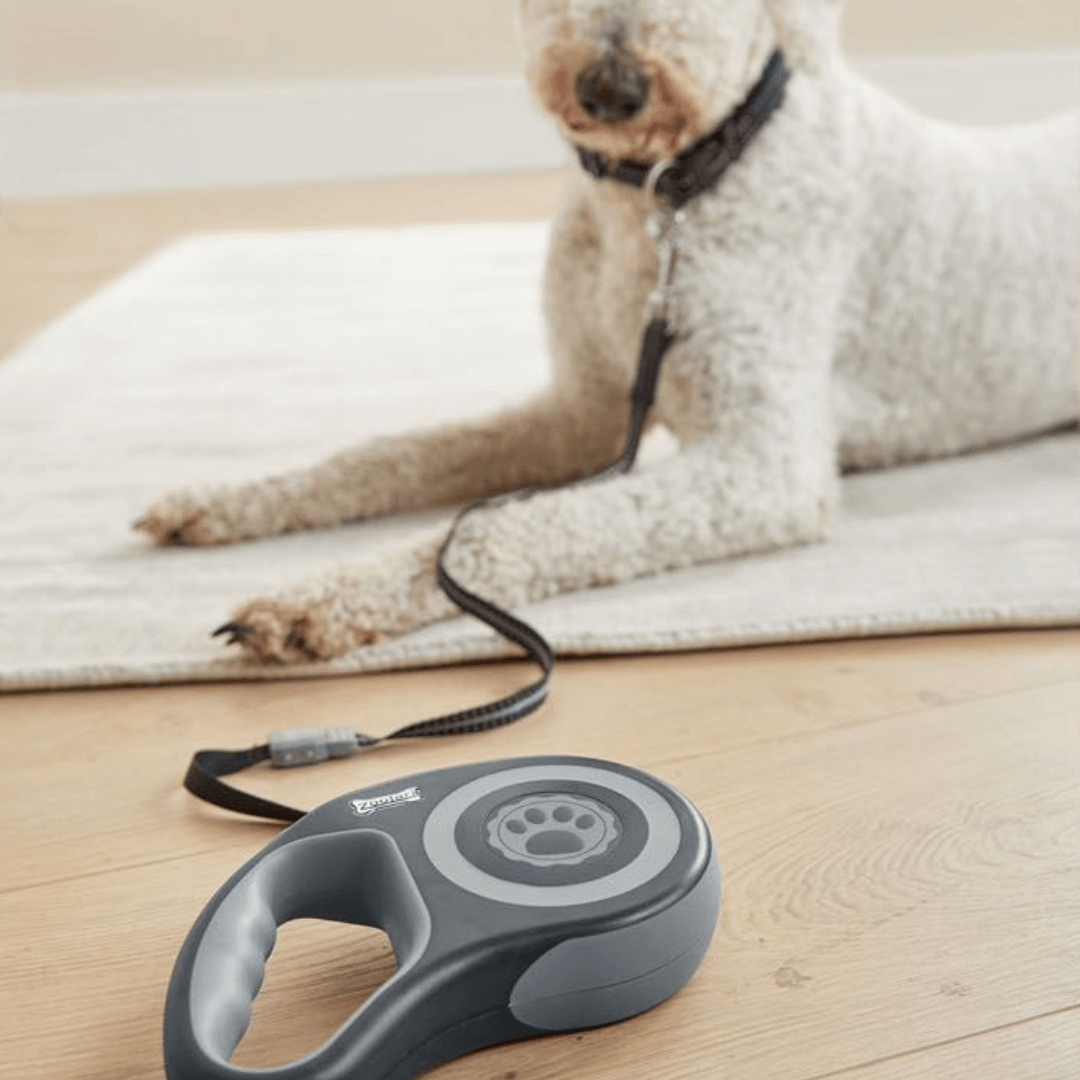Retractable dog leash